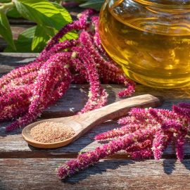 Amaranthuscaudatus_OilSeedPlantW (1) Amaranthuscaudatus_OilSeedPlantW (1)